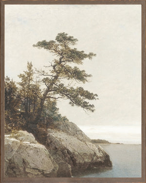The Old Pine, 1872