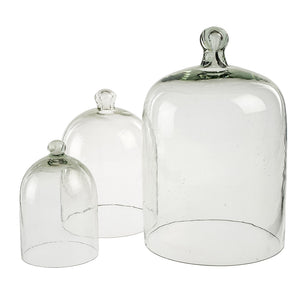 Small Glass Cloche