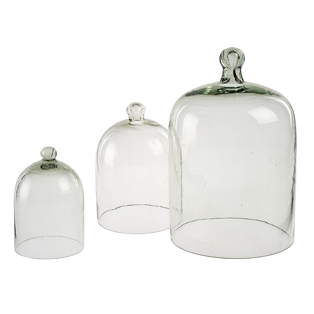 Small Glass Cloche