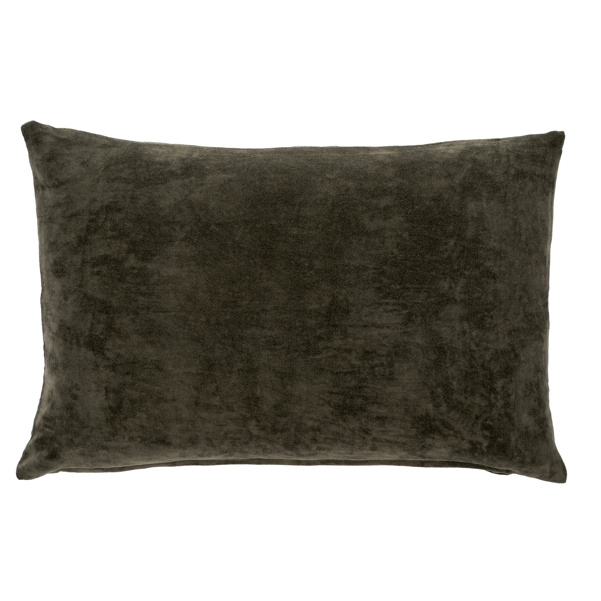 Juniper Velvet Pillow