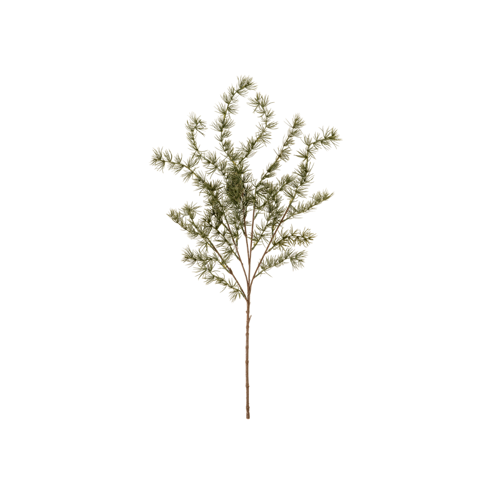 Evergreen Larch Sprig