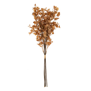 Dried Brown Eucalyptus Bouquet