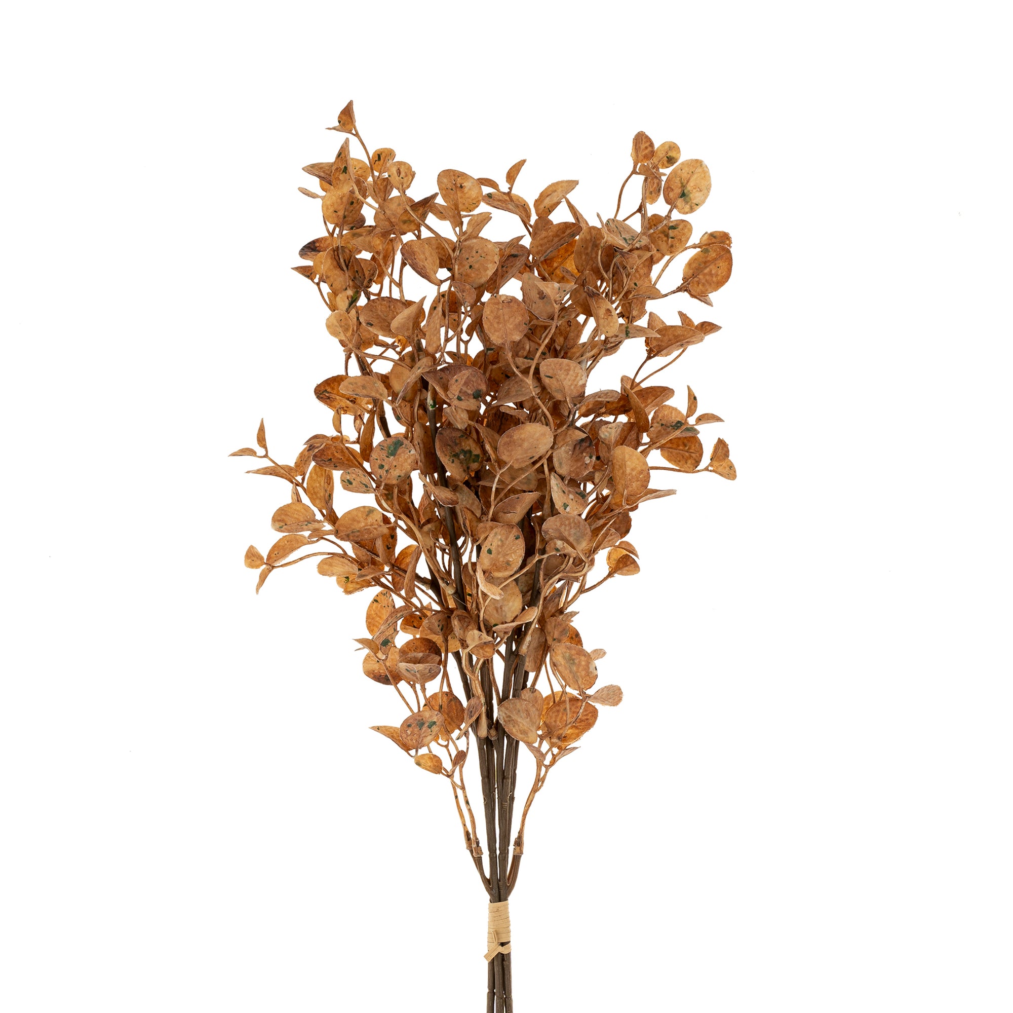 Dried Brown Eucalyptus Bouquet
