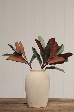 Magnolia Leaf Branch