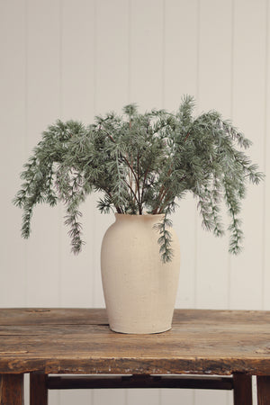 Evergreen Larch Sprig
