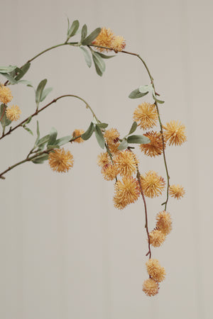 Golden Globe Flower Spray