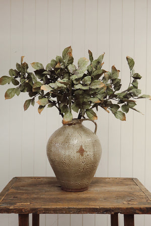 Banyan Branch