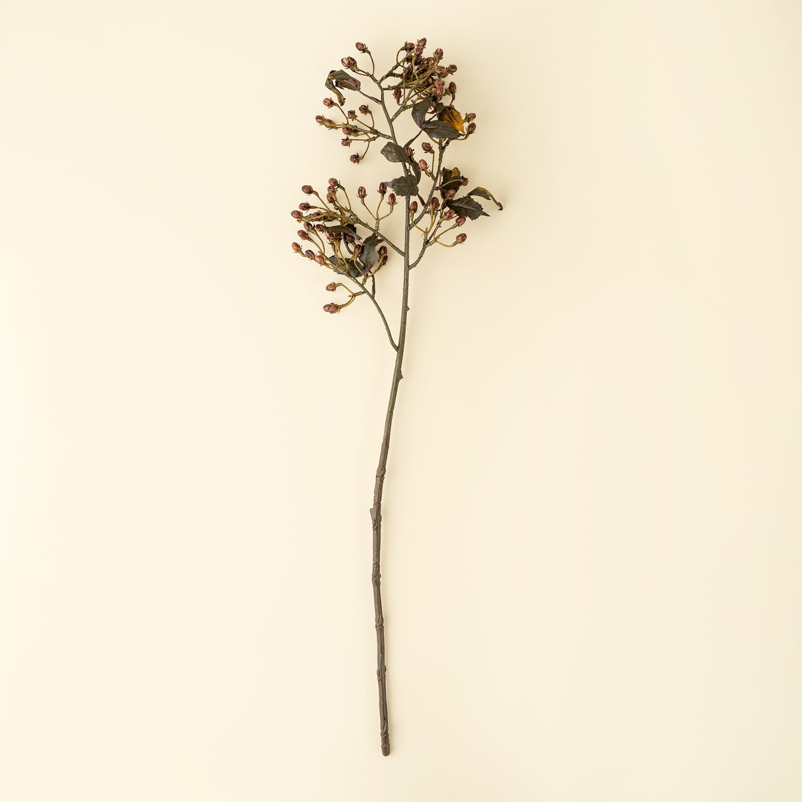 Hypericum Spray