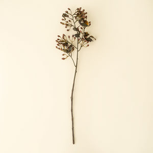 Hypericum Spray