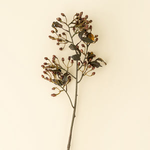 Hypericum Spray