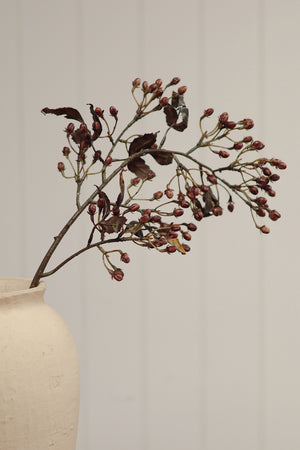 Hypericum Spray