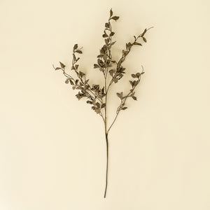 Smoked Eucalyptus Spray