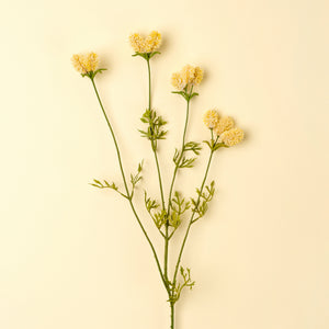 Dandelion Pom Pom Spray