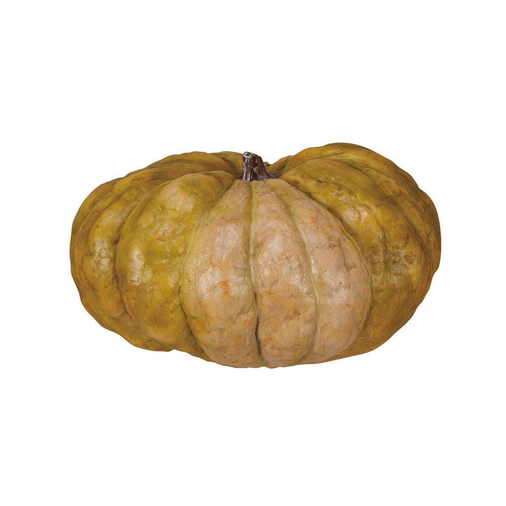 Harvest Green Pumpkin