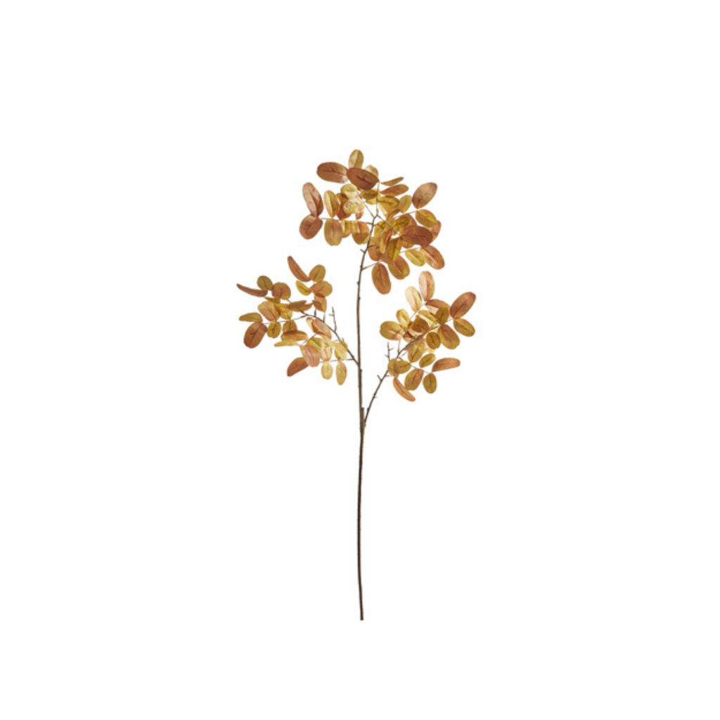 Dried Leaf Spray