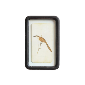 Framed Bird Prints
