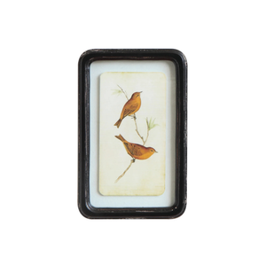 Framed Bird Prints