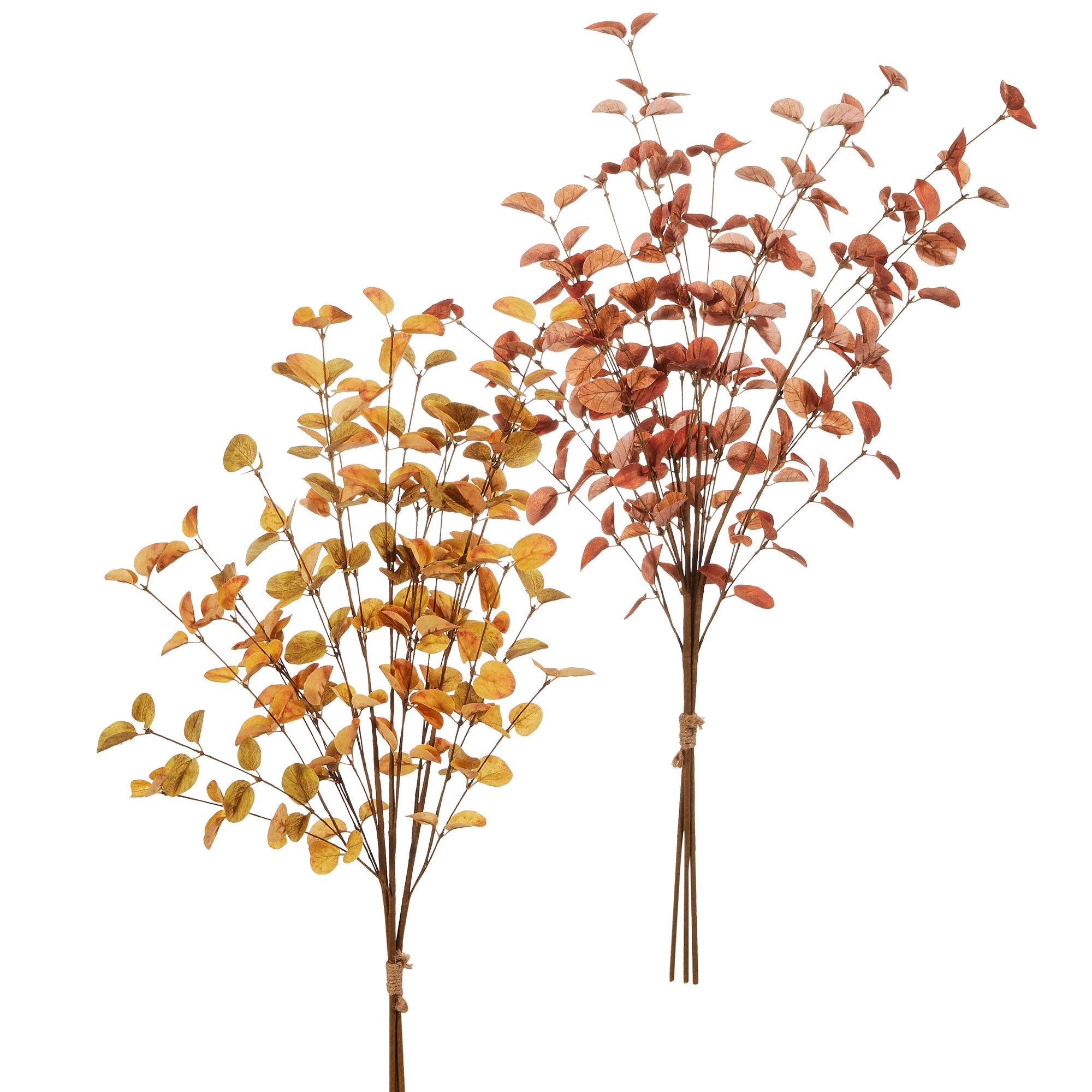 Fall Leaf Bundle