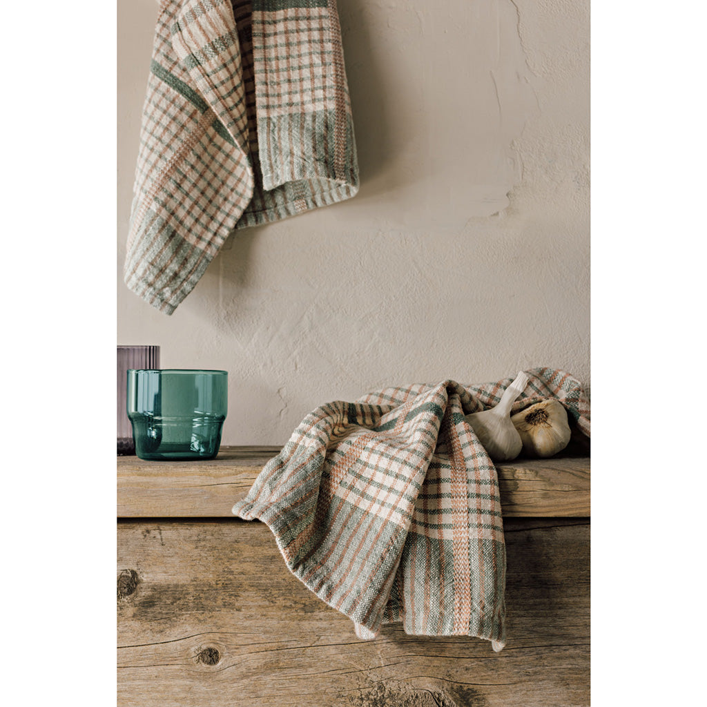 Set/2 Willow Finley Check Dishtowels