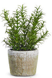 8.25" Potted Herb