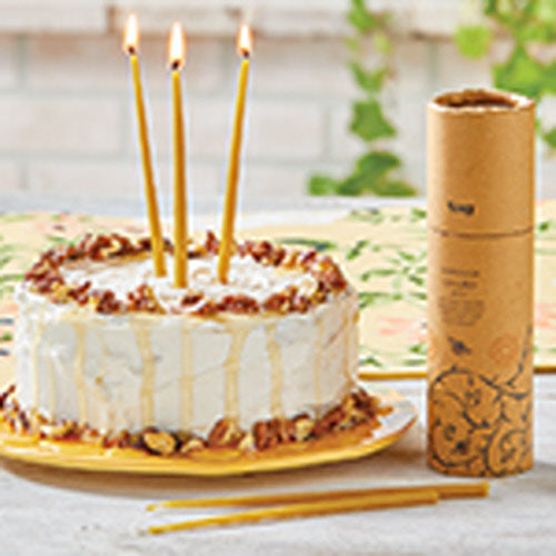 24 Beeswax Mini Taper Candles