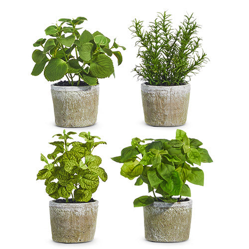 8.25" Potted Herb