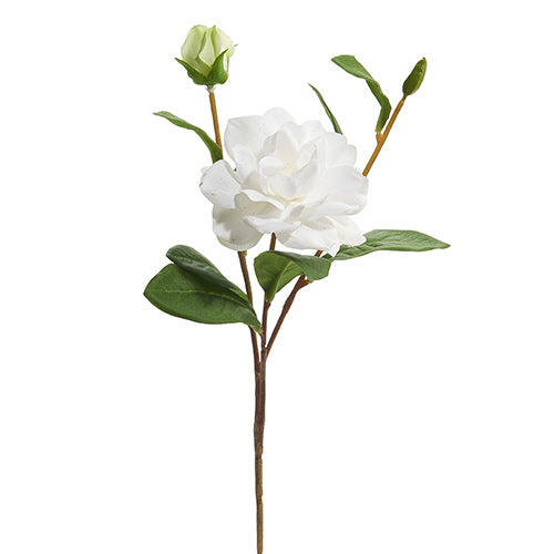White Gardenia Spray