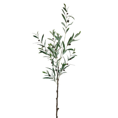 48.5" Olive Leaf Branch