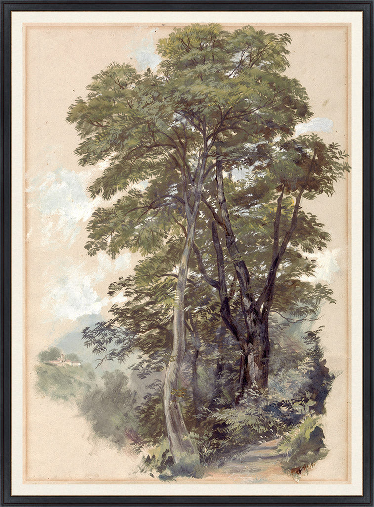 Corpo Di Cava, 1839