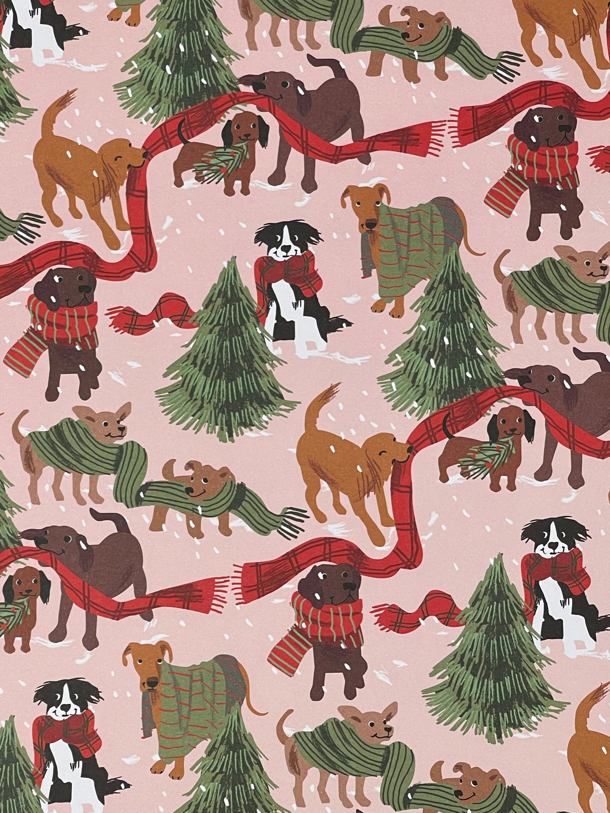 Dogs and Scarves Gift Wrap