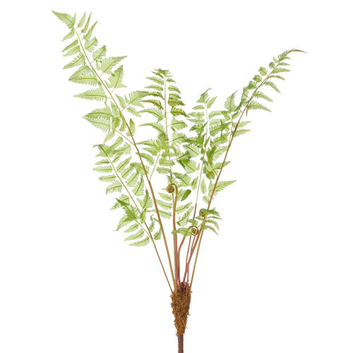 36" Monkey Palm Fern Spray