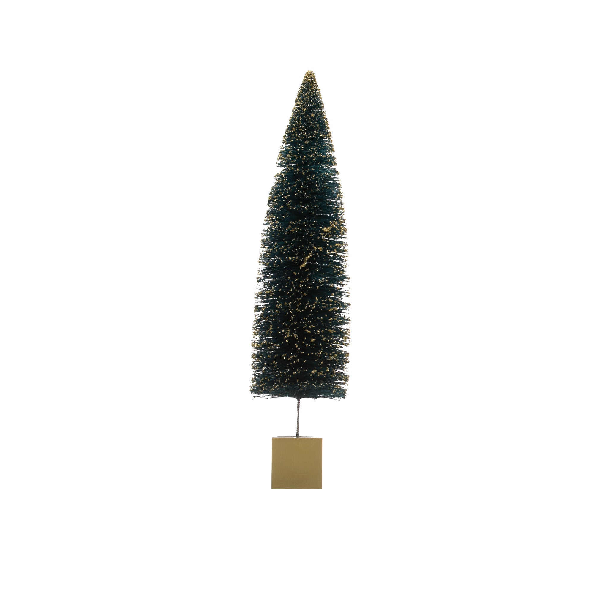 Bottle Brush Tree