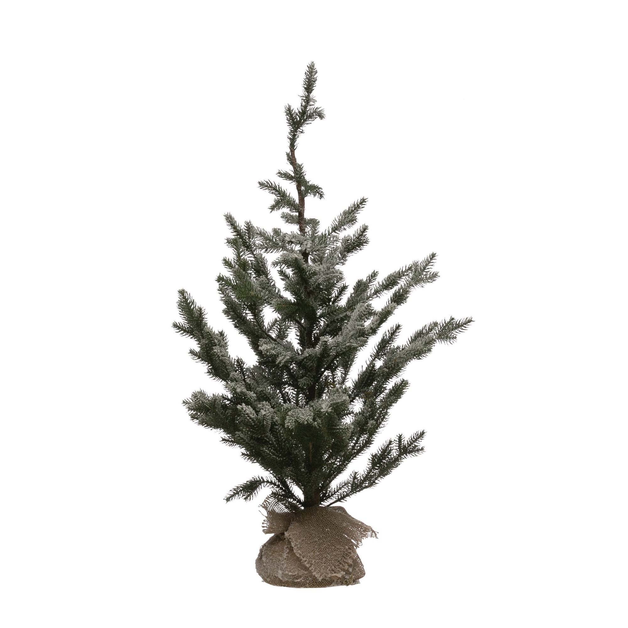 Frosty Pine Tree